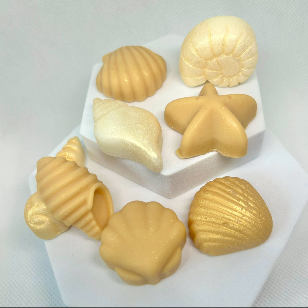 Holiday Mode - Seabreeze - Luxury Shell Wax Melts - 8 Pack